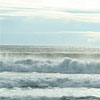 Surf Camp logo